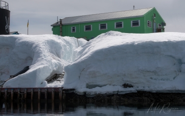 Antarctic_63   | Photo Tour with Mike Reyfman