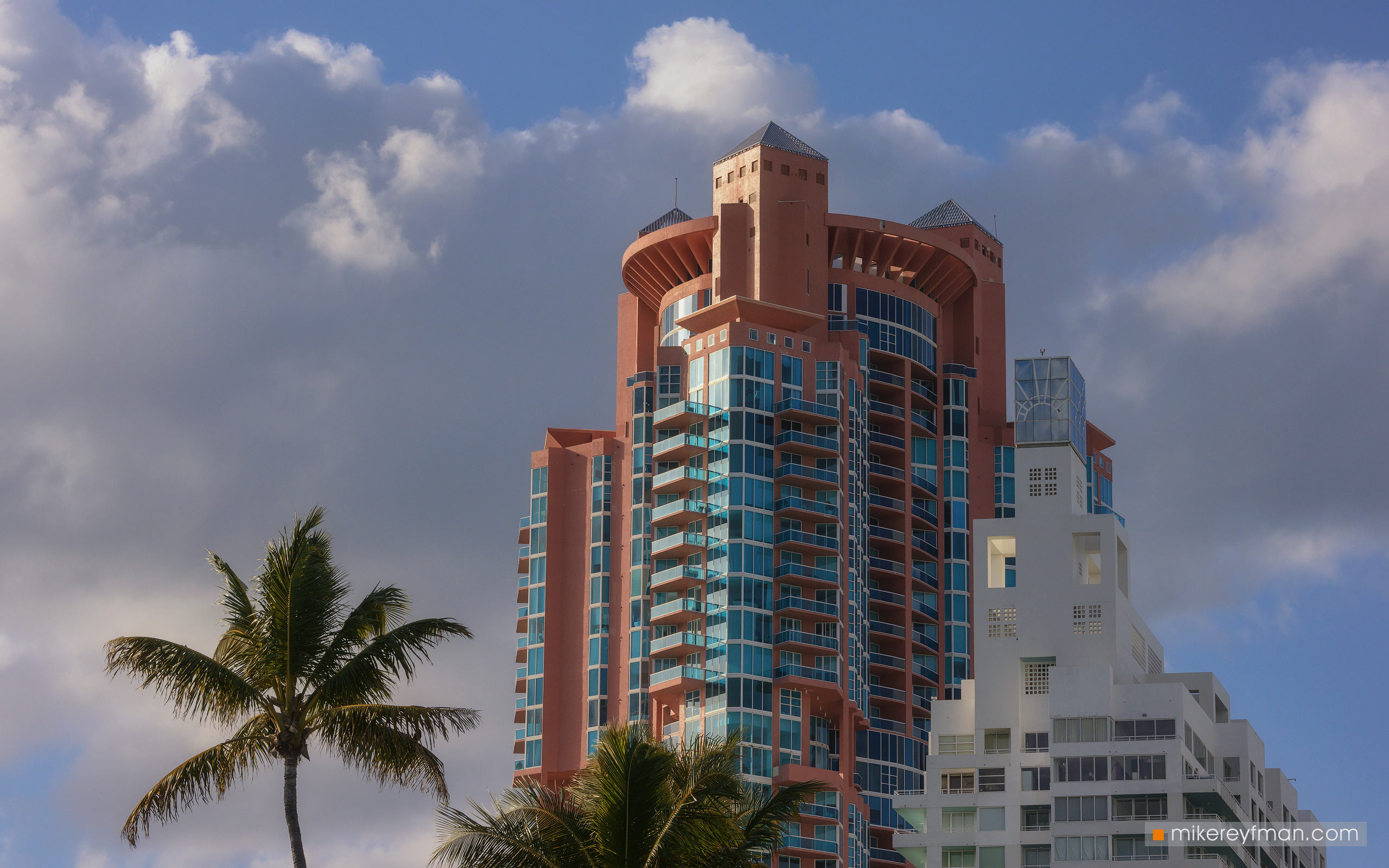 Miami, Florida, USA 014-MI1-ZRA6324 - Brown Pelicans of Sunny Isles Beach and Wynwood Walls Murals. Miami, Florida, USA - Mike Reyfman Photography