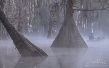 Kayaker-paddling-between-Bald-Cypress-trees-in-the-fog.-Caddo-Lake,-Texas,-US