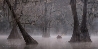 Kayaker-paddling-between-Bald-Cypress-trees-in-the-fog.-Caddo-Lake,-Texas,-US