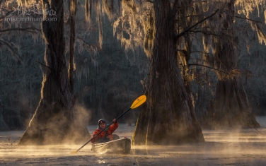 Kayaker-paddling-between-Bald-Cypress-trees-in-the-fog.-Caddo-Lake,-Texas,-US