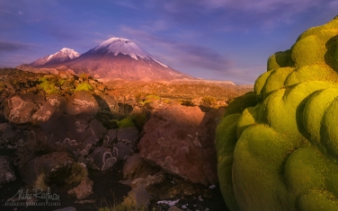 Parinacota-and-Pomerape-Stratovolcanos-(Nevados-de-Payachata)-with-Yareta-plants-on-the-foreground.-Lauca-Biosphere-Reserve.-Altiplano,-Chile