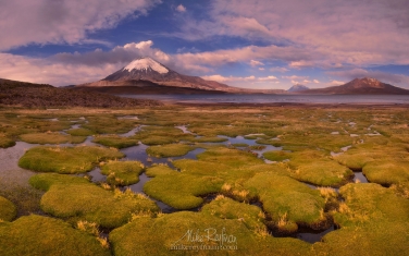 Parinacota-Stratovolcano-and-Chungara-Lake.-Lauca-National-Park,-Altiplano,-Chile