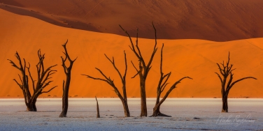 026-SV 10P8049 Pano 1x2