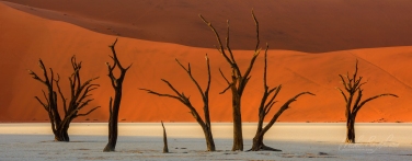 027-SV 10P8033 Pano 1x2.55