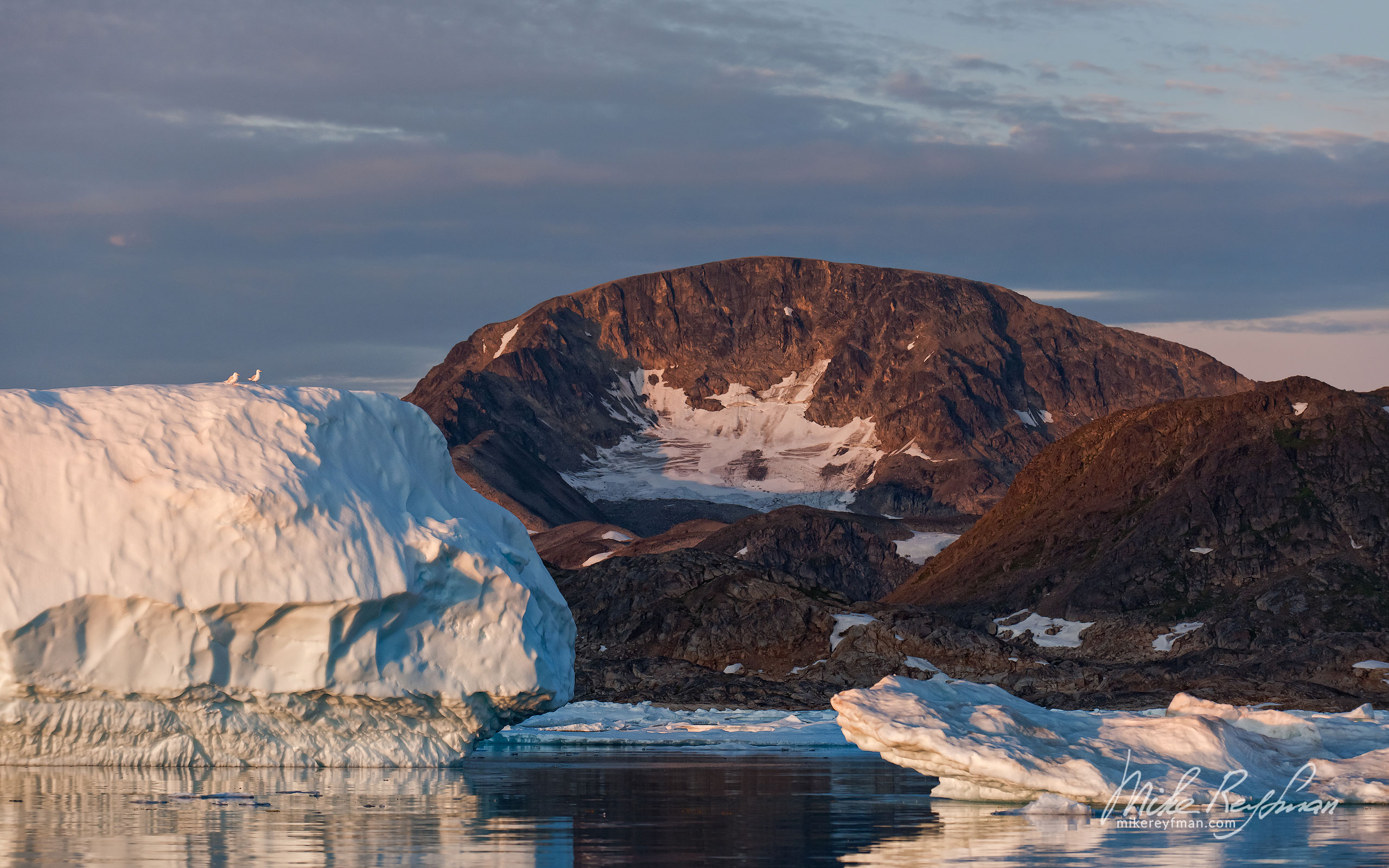 Seagulls on the iceberg. Kulusuk island. Southeastern Greenland. 011-GR-KU_P3X5611 - Kulusuk island, Ammassalik Fjord & Torsuut Tunoq Sound. Southeastern Greenland - Mike Reyfman Photography