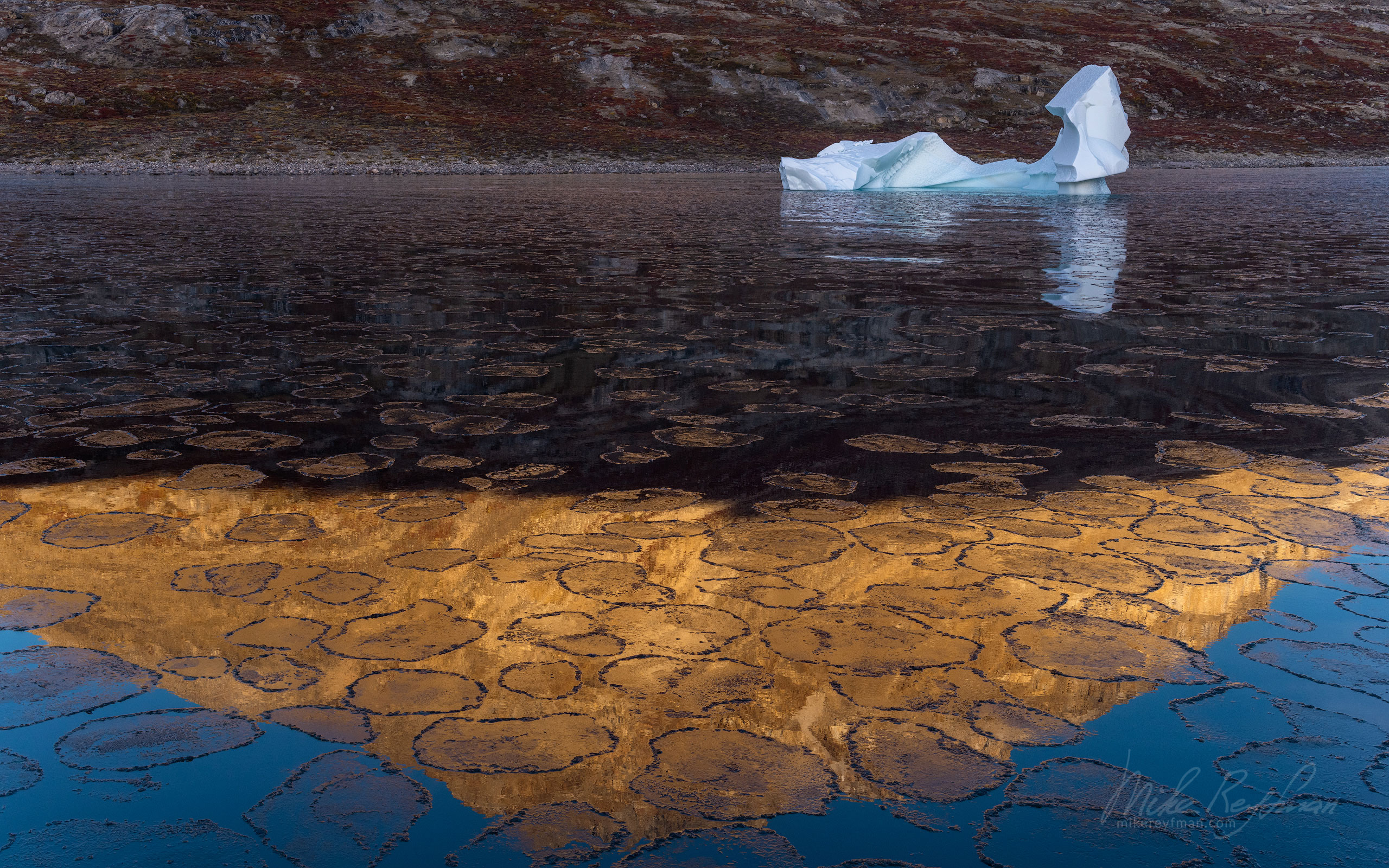 First Ice forming in the fjord. Scoresby Sund. Greenland. 042-GR-SC_50B6453 - The Scoresby Sund fjord system and the settlement of Ittoqqortoormiit. East Greenland. - Mike Reyfman Photography