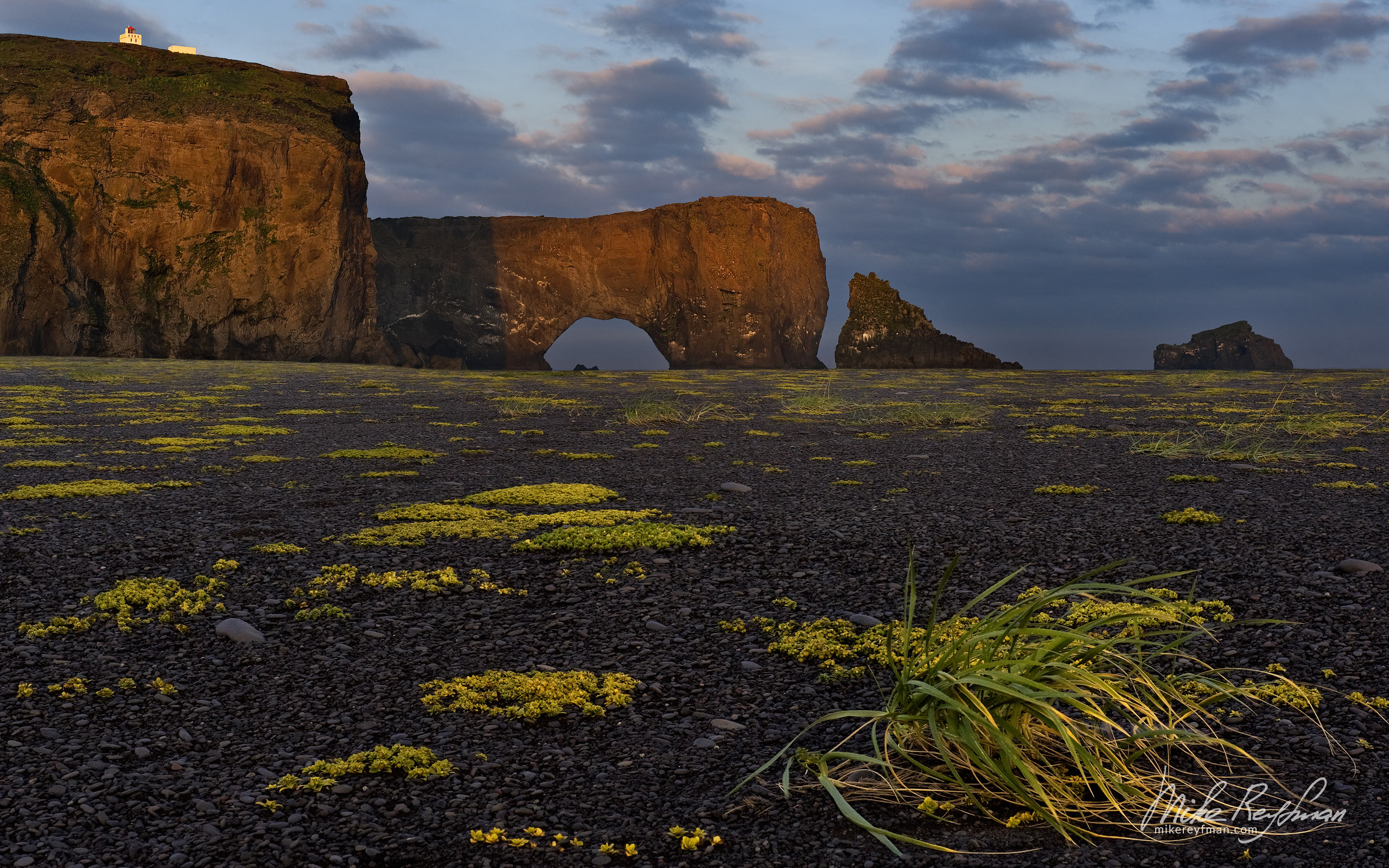 Dyrholaey black volcanic sand beach with Cape Dyrholaey (Door Hill) in the background. Southern Iceland. 030-IC-CL_MR27680-5 - Where Lava Meets the Ocean. Iceland coastline. - Mike Reyfman Photography