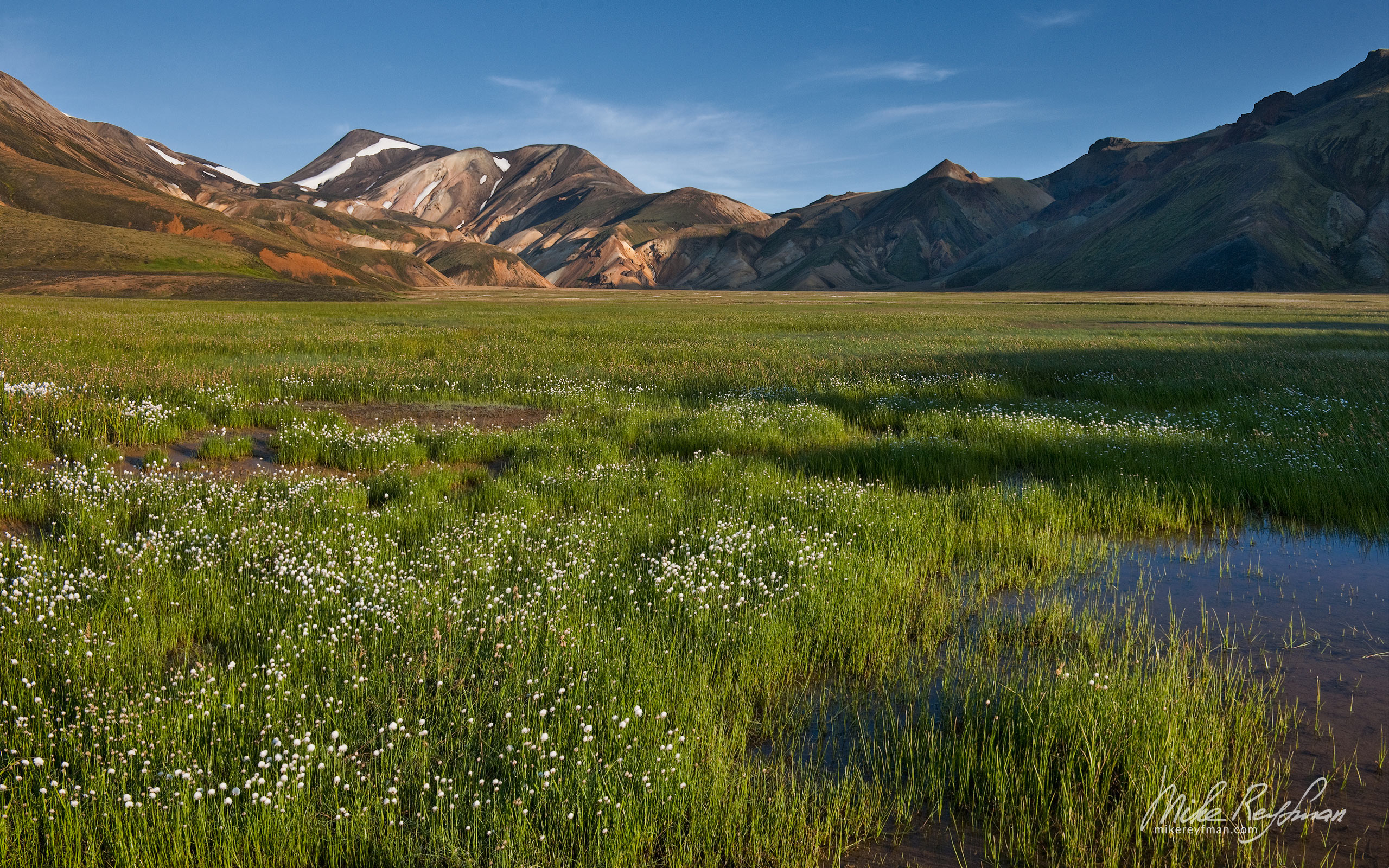 Cotton grass and Colored Rhyolite Mountains of Landmannalaugar, Fjallabak Nature Reserve, Central Highlands, Iceland. 033-IC-GP _M3X5420 - Rhyolite Mountains, Crater Lakes, Geothermal Areas, Lava Fields and Glacial Rivers. Iceland.  - Mike Reyfman Photography