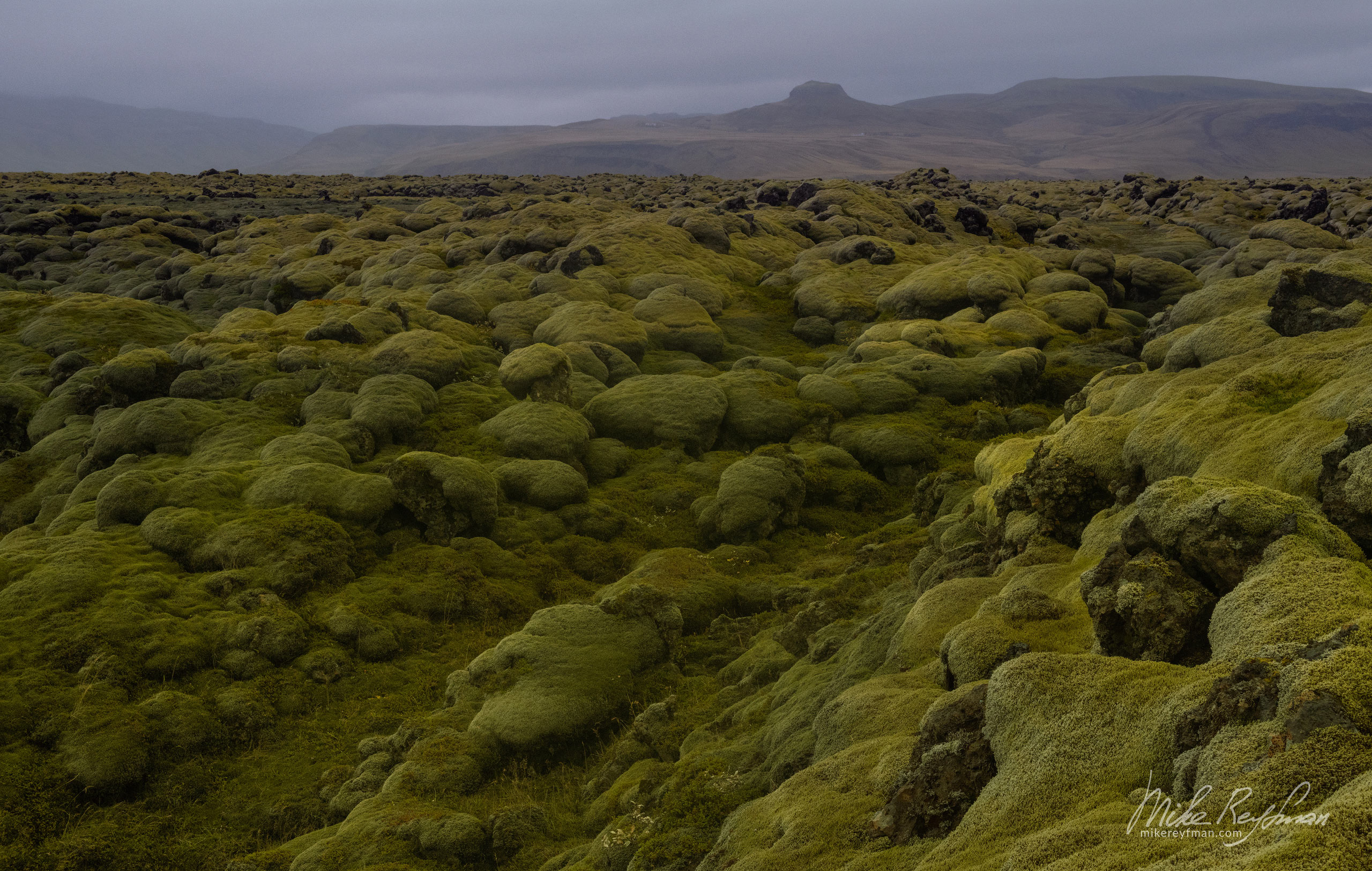 Lava covered in moss. Eldhraun Lava Field, South Iceland. 082-IC-GP _50B0131 - Rhyolite Mountains, Crater Lakes, Geothermal Areas, Lava Fields and Glacial Rivers. Iceland.  - Mike Reyfman Photography