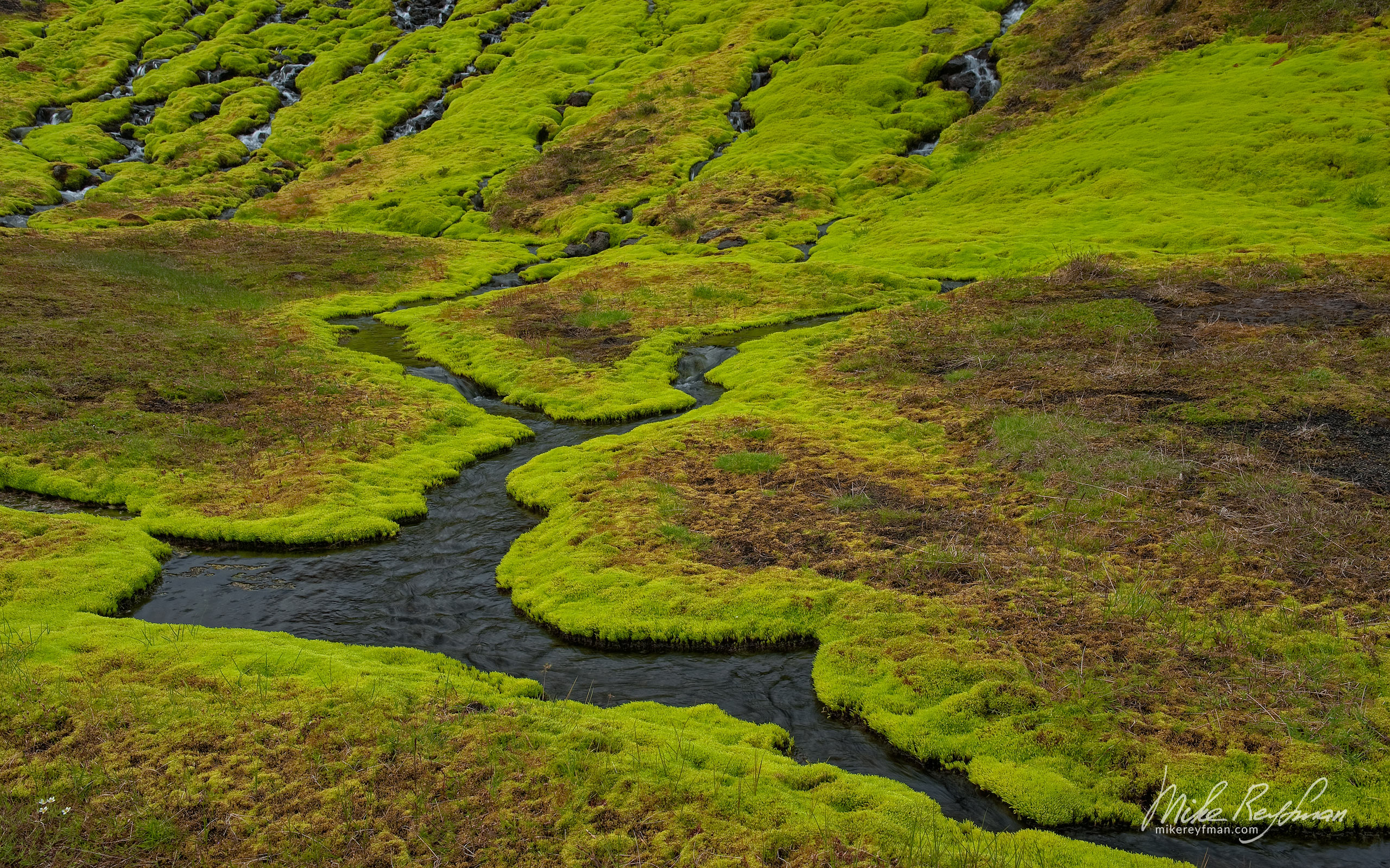 Green moss and streams. Skuggafjallakvisl, Highlands, Iceland. 087-IC-GP _MR28548 - Rhyolite Mountains, Crater Lakes, Geothermal Areas, Lava Fields and Glacial Rivers. Iceland.  - Mike Reyfman Photography