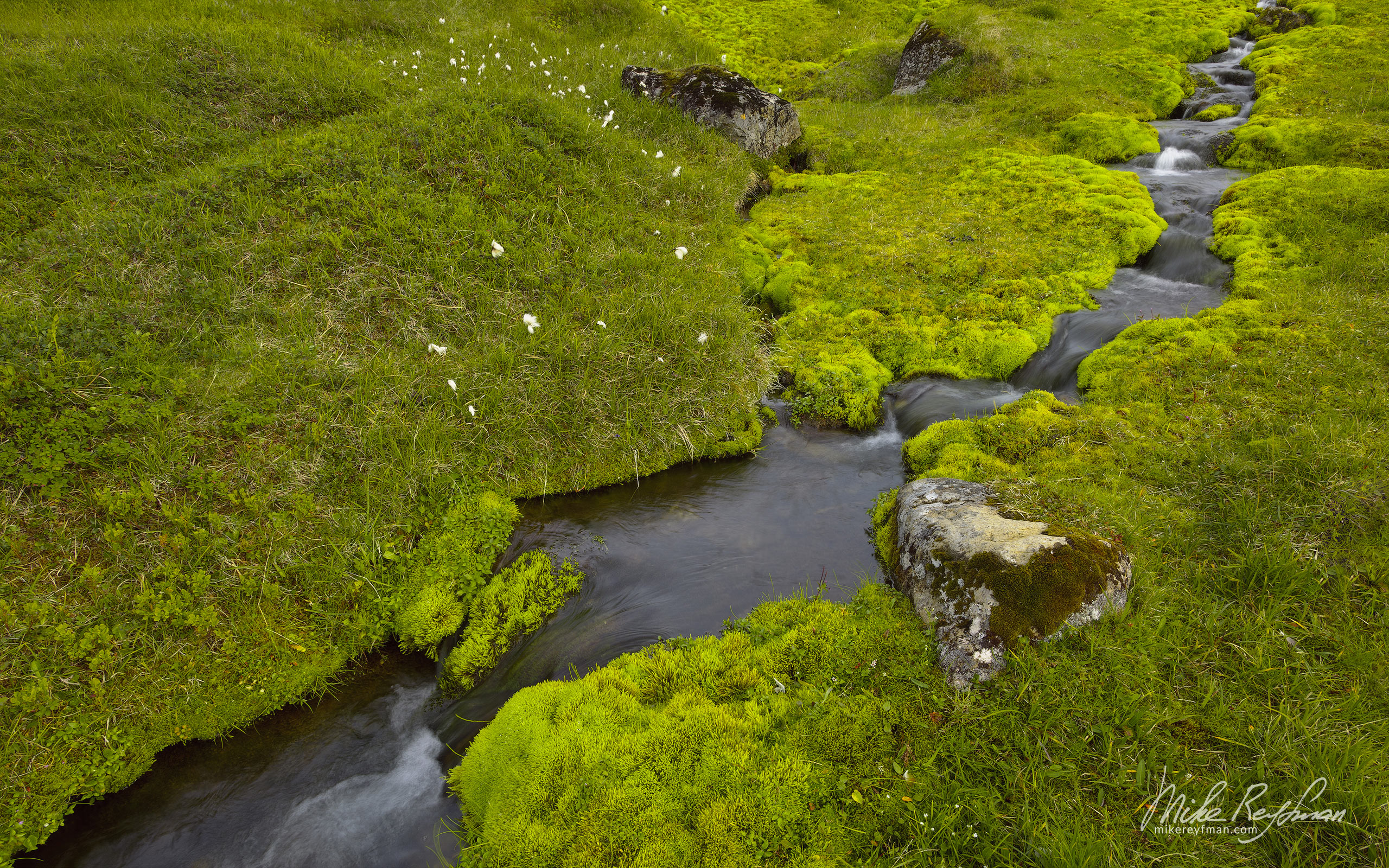 Green moss and stream. Skuggafjallakvisl, Highlands, Iceland. 088-IC-GP _P3X3097-crop - Rhyolite Mountains, Crater Lakes, Geothermal Areas, Lava Fields and Glacial Rivers. Iceland.  - Mike Reyfman Photography