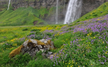 Seljalandsfoss-waterfall.-Iceland,-South-Coast,-Route-1.