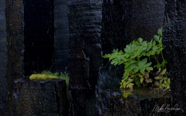 Svartifoss-(Black-Waterfall),-Skaftafell,-Vatnajökull-National-Park,-Iceland.