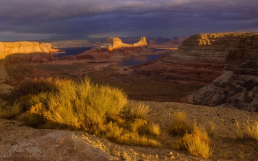 Romana-Mesa,-Alstrom-Point.-Gunsight-Butte-in-Padre-Bay.-Lake-Powell,-Glen-Canyon-NRA,-Uta/Arizona,-USA.