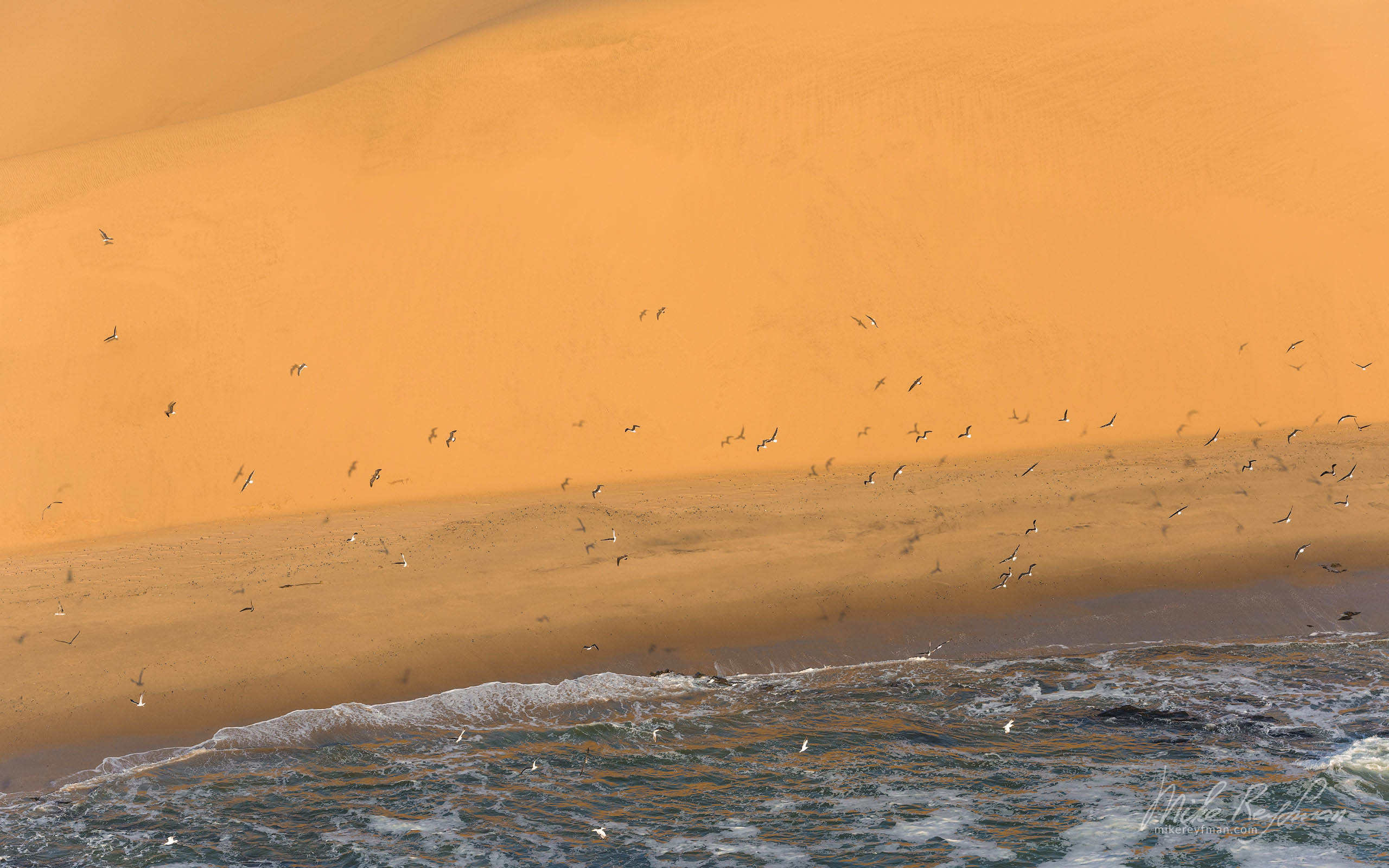 Atlantic Ocean and Sand Dunes. Namib Skeleton Coast National Park, Namibia SCW_027_10N3073 - Shipwrecks and Endless Dunes of Namib Skeleton Coast NP, Dense ocean fogs of the Benguela Current, Cape Fur seals, and Walvis Bay Salt Works. Namibia.  - Mike Reyfman Photography