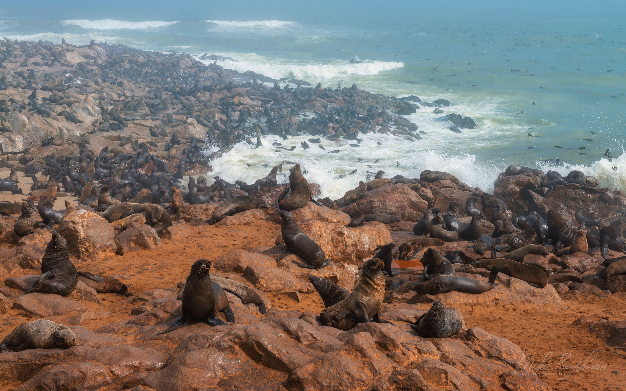 Cape Fur Seals. Namib Skeleton Coast National Park, Namibia SCW_038_D8E5532-2 - Shipwrecks and Endless Dunes of Namib Skeleton Coast NP, Dense ocean fogs of the Benguela Current, Cape Fur seals, and Walvis Bay Salt Works. Namibia.  - Mike Reyfman Photography