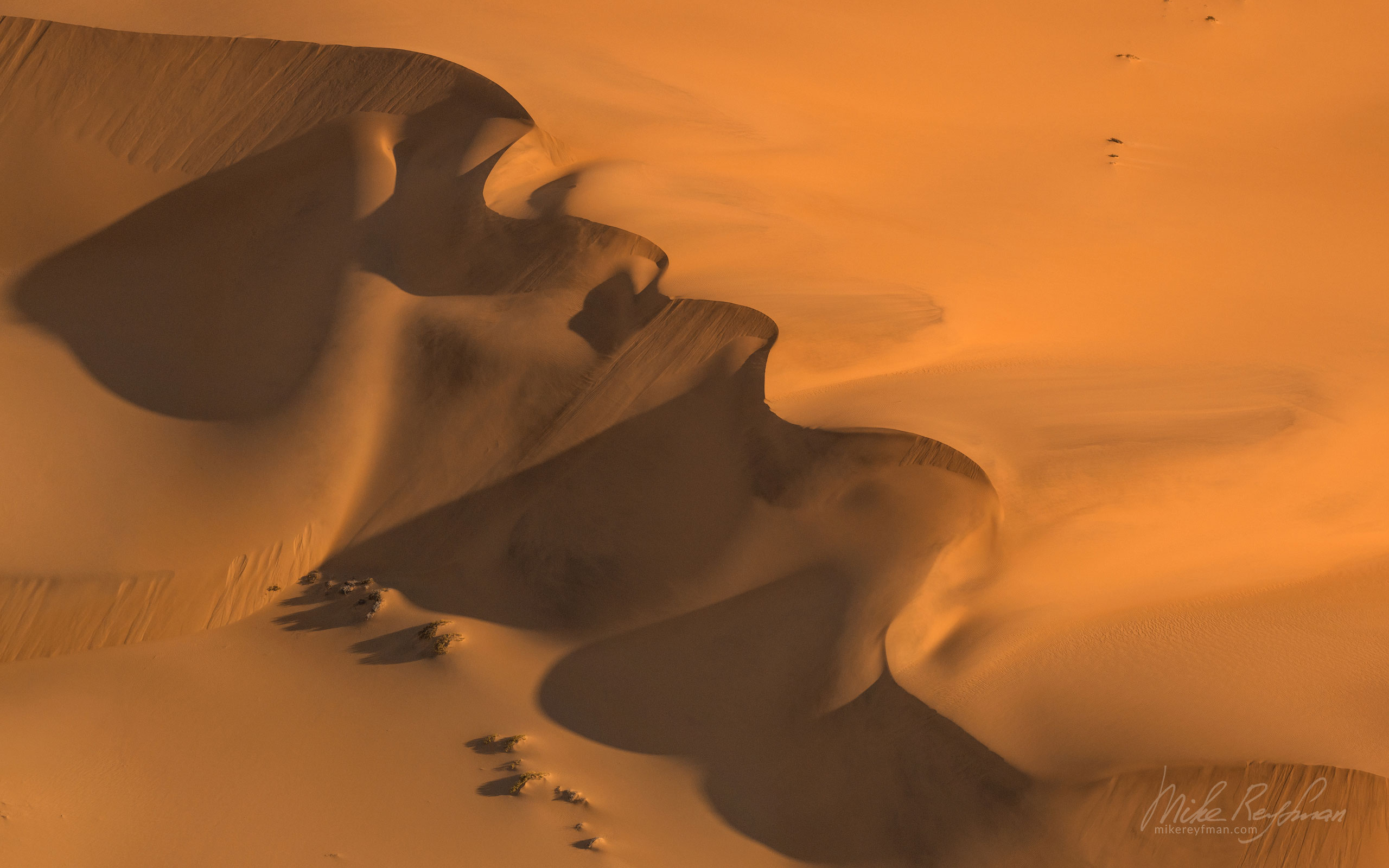 Sand Dunes. Namib Skeleton Coast National Park, Namibia. Aerial SCW_045_D8E5369 - Shipwrecks and Endless Dunes of Namib Skeleton Coast NP, Dense ocean fogs of the Benguela Current, Cape Fur seals, and Walvis Bay Salt Works. Namibia.  - Mike Reyfman Photography