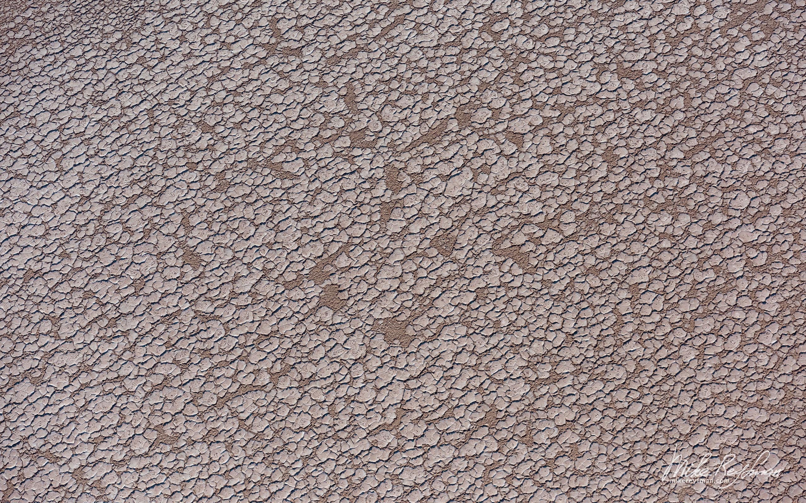 Dried cracked mud patterns on a desert floor. Namib Skeleton Coast National Park, Namibia SCW_059_10N4560 - Shipwrecks and Endless Dunes of Namib Skeleton Coast NP, Dense ocean fogs of the Benguela Current, Cape Fur seals, and Walvis Bay Salt Works. Namibia.  - Mike Reyfman Photography