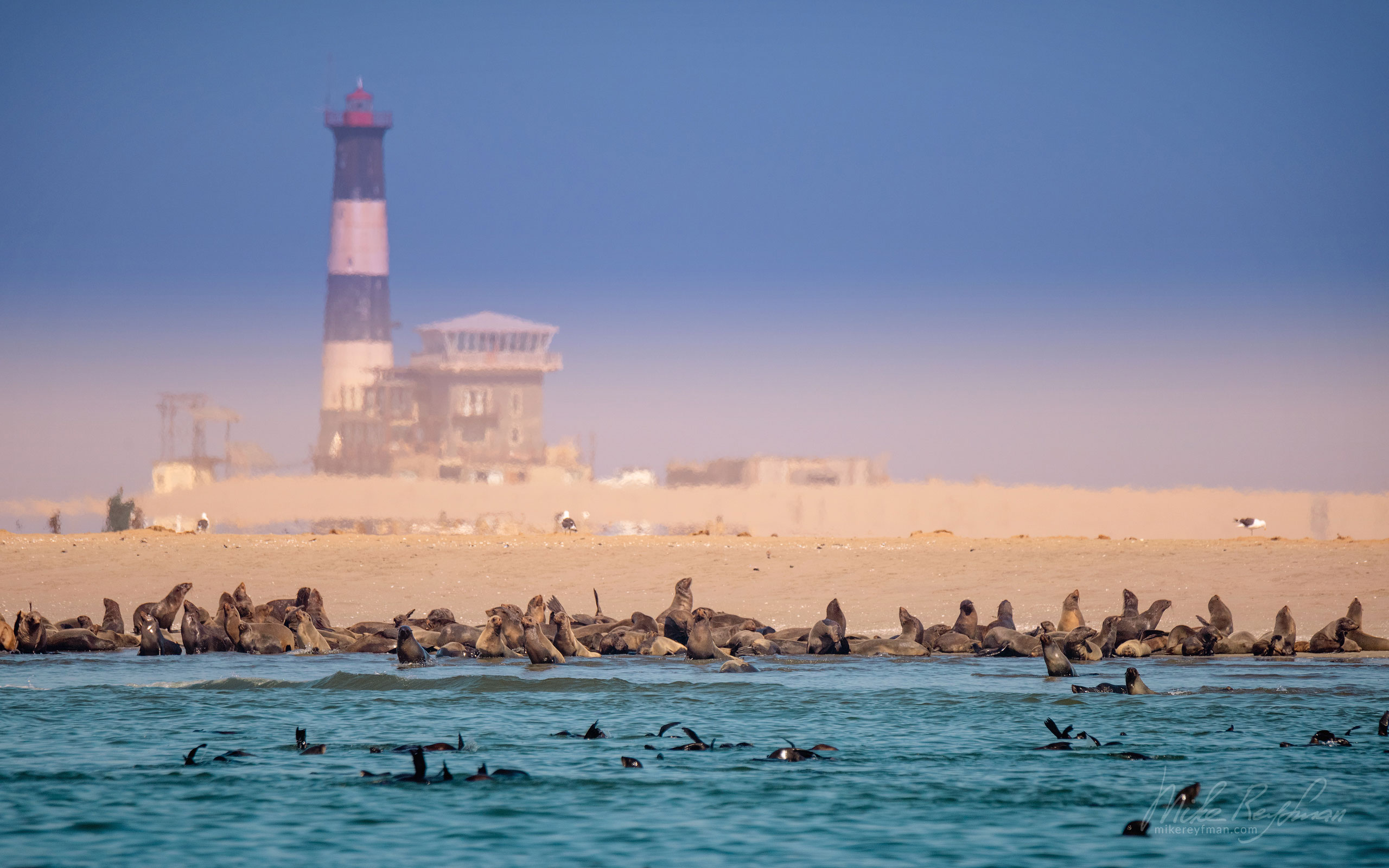Cape Fur Seals near Pelican Point lighthouse. Walvis Bay, Namibia SCW_098_10R9549 - Shipwrecks and Endless Dunes of Namib Skeleton Coast NP, Dense ocean fogs of the Benguela Current, Cape Fur seals, and Walvis Bay Salt Works. Namibia.  - Mike Reyfman Photography