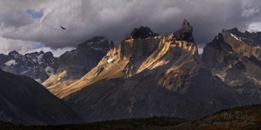 Condors-soaring-over-Cordillera-del-Paine.-Torres-del-Paine-National-Park,-Ultima-Esperanza-Province,-Magallanes-and-Antartica-Chilena-Region-XII,-Patagonia,-Chile.