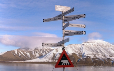 Salbard-V-005 Svalbard Pack Ice Polar Bear Expedition 2028 |  Magnificent Landscapes and Exceptional Wildlife Encounters |  | Photo Tour with Mike Reyfman