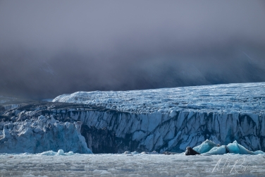 Salbard-V-025 Svalbard Pack Ice Polar Bear Expedition 2028 |  Magnificent Landscapes and Exceptional Wildlife Encounters |  | Photo Tour with Mike Reyfman