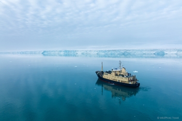 Salbard-V-029 Svalbard Pack Ice Polar Bear Expedition 2028 |  Magnificent Landscapes and Exceptional Wildlife Encounters |  | Photo Tour with Mike Reyfman