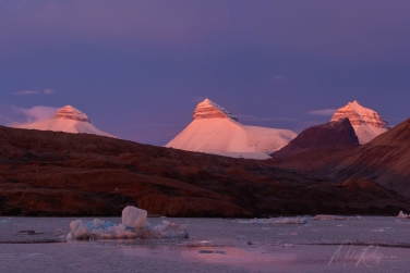 Salbard-V-035 Svalbard Pack Ice Polar Bear Expedition 2028 |  Magnificent Landscapes and Exceptional Wildlife Encounters |  | Photo Tour with Mike Reyfman