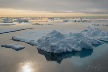 Salbard-V-067 Svalbard Pack Ice Polar Bear Expedition 2028 |  Magnificent Landscapes and Exceptional Wildlife Encounters |  | Photo Tour with Mike Reyfman