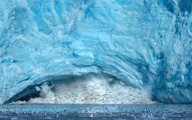 01   | Photo Tour with Mike Reyfman