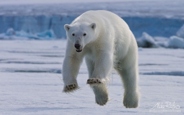 02   | Photo Tour with Mike Reyfman