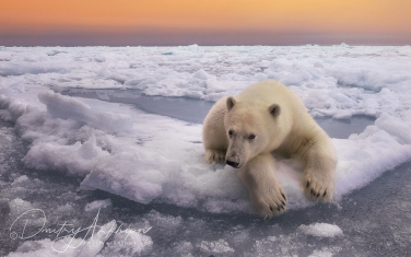 03   | Photo Tour with Mike Reyfman