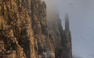 09   | Photo Tour with Mike Reyfman