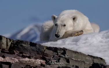 13   | Photo Tour with Mike Reyfman