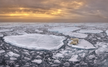 15   | Photo Tour with Mike Reyfman