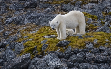 17   | Photo Tour with Mike Reyfman