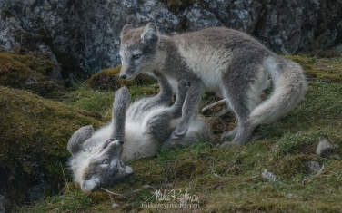 20   | Photo Tour with Mike Reyfman