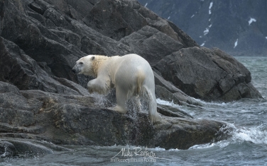 23   | Photo Tour with Mike Reyfman
