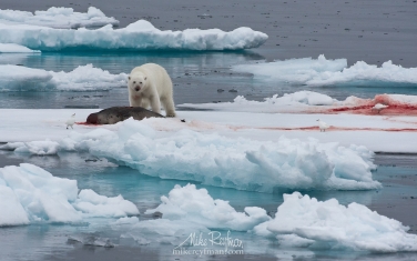 32   | Photo Tour with Mike Reyfman