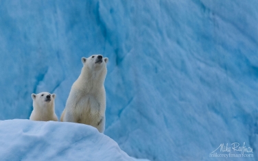 37   | Photo Tour with Mike Reyfman