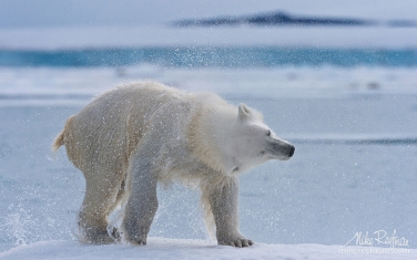 22.jpg   | Photo Tour with Mike Reyfman
