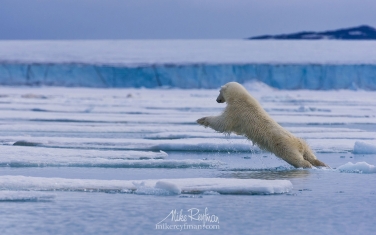 25.jpg   | Photo Tour with Mike Reyfman