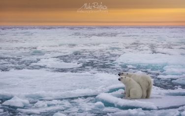 29.jpg   | Photo Tour with Mike Reyfman