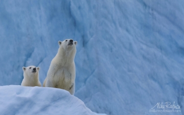 34   | Photo Tour with Mike Reyfman