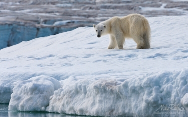 36   | Photo Tour with Mike Reyfman