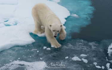 37   | Photo Tour with Mike Reyfman