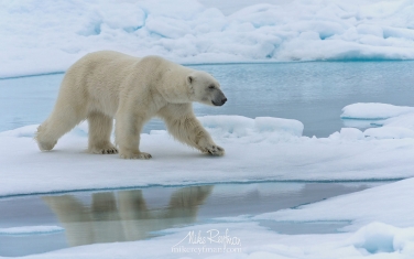 42   | Photo Tour with Mike Reyfman