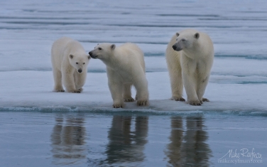 44   | Photo Tour with Mike Reyfman