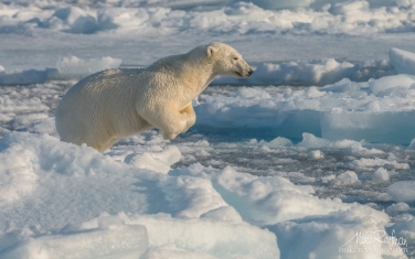 51   | Photo Tour with Mike Reyfman